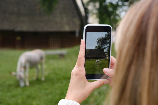 女孩手里拿着手机，在公园里拍下大自然的照片，并在社交网络上分享。专注于手机屏幕。用你的智能手机制造记忆。手机特写镜头图片下载