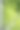 由树木制成的墙或篱笆图片下载