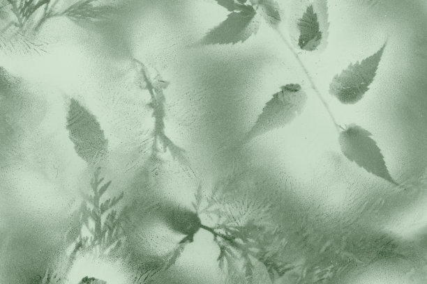 自然抽象绿色森林背景与喷绘树叶图片下载