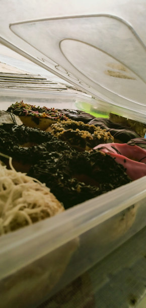 盒子上有甜甜圈图片下载