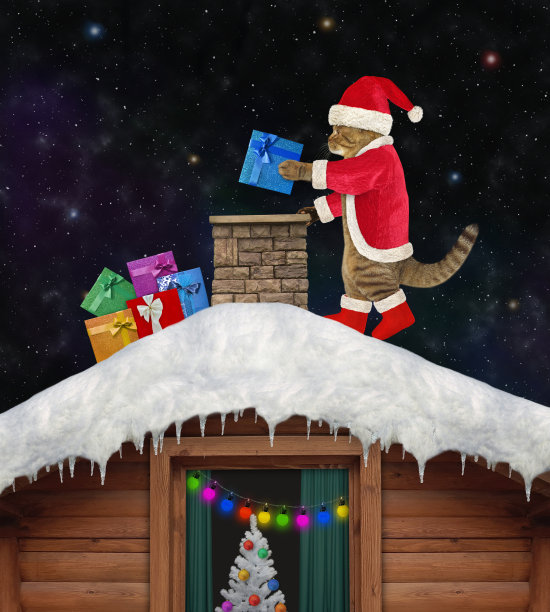 猫圣诞老人和礼物在屋顶上图片下载