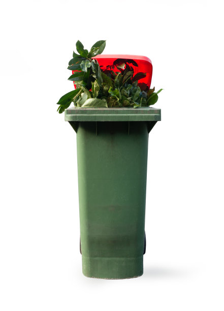 全有机废物可隔离在白色上图片下载