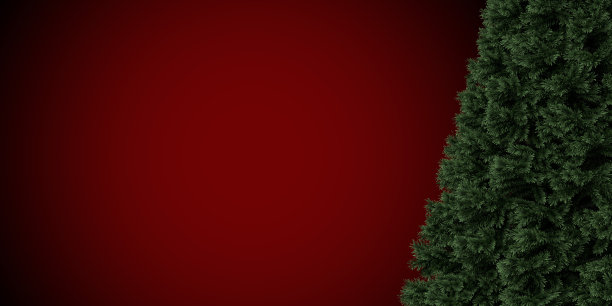 右框空白圣诞树在红色表面与复制空间图片下载