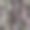 潮湿的海石背景。无缝模式。卵石纹理。宏观的特写镜头。图片下载