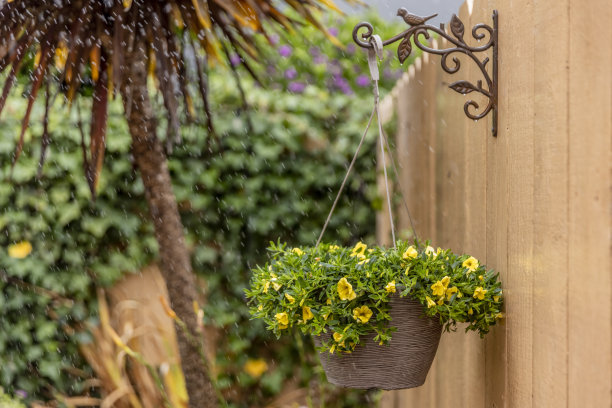 室外花园图片下载