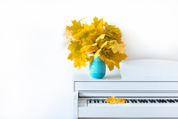 蓝色花瓶里的枫叶放在钢琴上。秋天的概念。图片下载