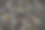 废弃的电缆图片下载