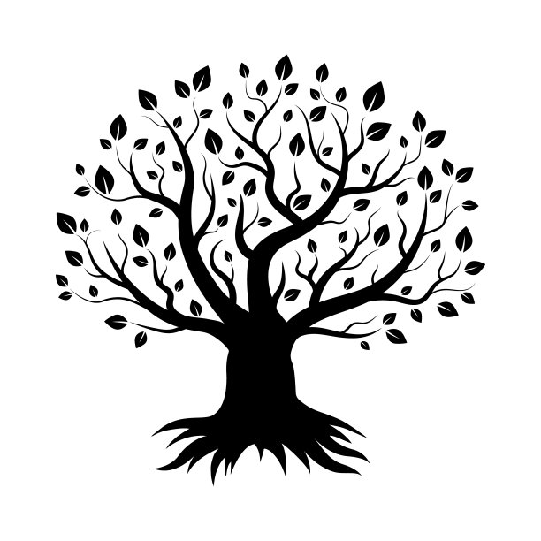 树。叶子长在树枝上。有根、枝和冠的植物剪影。图片下载