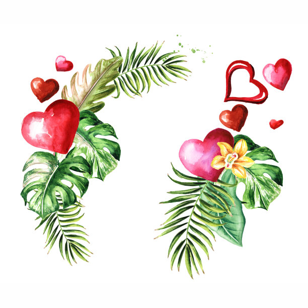 情人节花束，贺卡概念。水彩手绘插图孤立在白色的背景图片下载