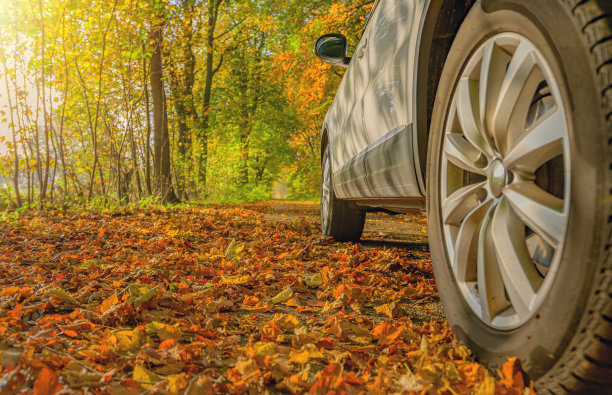 秋天的日子里，公园里的汽车在路上行驶。五颜六色的树叶躺在车轮下。秋天落在汽车轮胎下的秋叶。秋天汽车轮胎下的危险树叶。图片下载