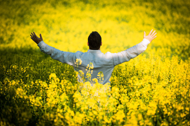 中年男子张开双臂面对着阳光，以感激的态度面对着一片野花图片下载