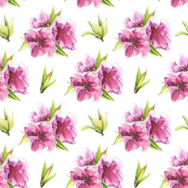 水彩画一套粉红色的樱花。图片下载