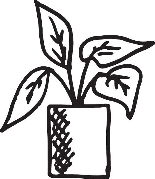 涂鸦室内花卉植物，盆栽植物设置手绘设计元素。室内植物的黑白插图。涂鸦，室内，花卉，植物，图片下载