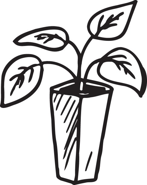 涂鸦室内花卉植物，盆栽植物设置手绘设计元素。室内植物的黑白插图。涂鸦，室内，花卉，植物，图片下载