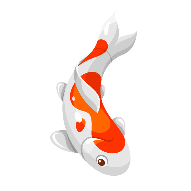 传统日本鲤鱼腼腆鱼矢量平面插图。璀璨的亚洲高洋文化象征图片下载