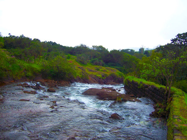 水的小溪图片下载