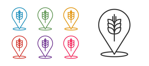 谷物集大米，小麦，玉米，燕麦，黑麦，大麦图标孤立在白色背景。麦穗是面包的象征。设置图标丰富多彩。向量图片下载