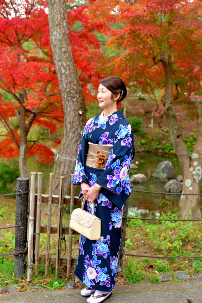 穿和服的日本女人在京都欣赏秋叶图片下载