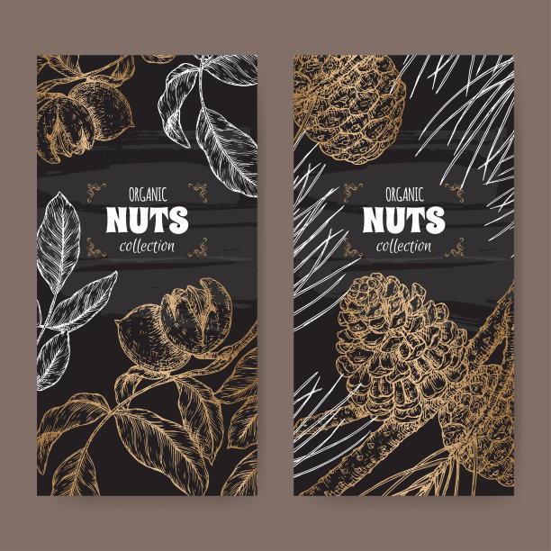 套两个标签与胡桃王果又名核桃树和松松又名石松树枝素描黑色。图片下载