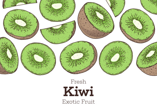 猕猴桃手绘画框。丰富多彩。矢量插图。设计，包装，宣传册插图。手绘猕猴桃设计模板。有机新鲜食物矢量插图。图片下载