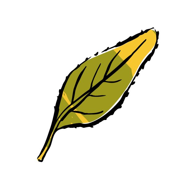 秋天写生彩叶。一种手绘的纹理草本植物图片下载