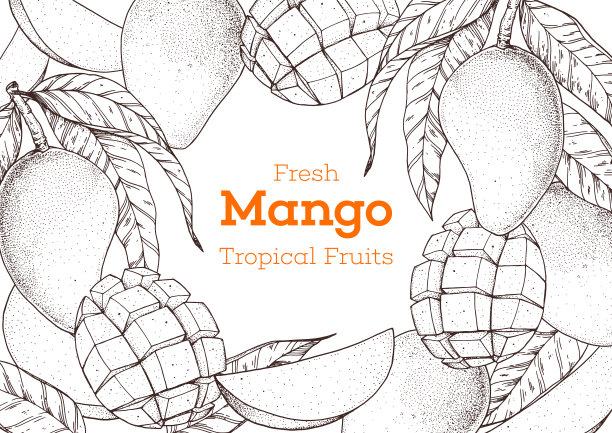 芒果水果手绘包装设计。矢量插图。设计草图，宣传册插图。复古怀旧的设计。芒果帧插图。可用于包装设计。图片下载