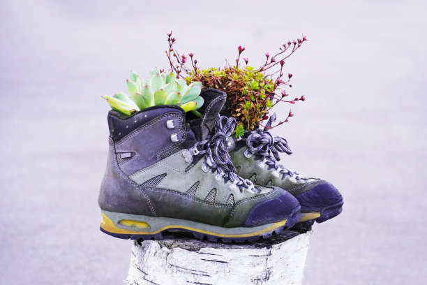 带植物的旧登山靴。在大自然中进行主题远足。图片下载
