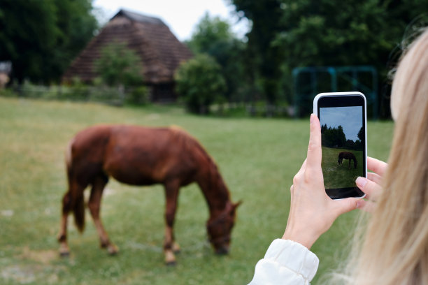 女孩手里拿着手机，在公园里拍下大自然的照片，并在社交网络上分享。专注于手机屏幕。用你的智能手机制造记忆。手机特写镜头图片下载