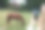 女孩手里拿着手机，在公园里拍下大自然的照片，并在社交网络上分享。专注于手机屏幕。用你的智能手机制造记忆。手机特写镜头图片下载