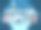 池塘里的银色天鹅图片下载