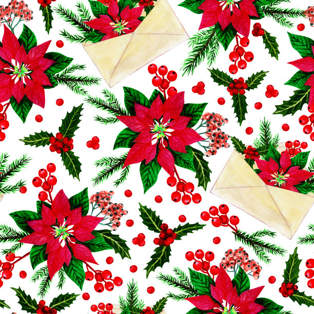 水彩画圣诞图案，冬青，红色一品红，红色浆果，白色背景。图片下载