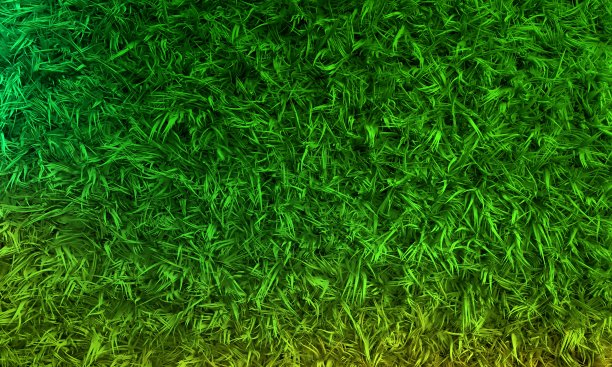 摘要三维绿草。自然背景纹理。图片下载