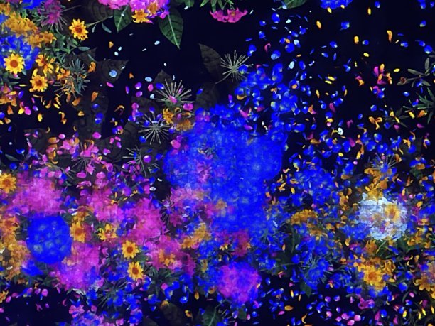 五颜六色的光影花图片下载