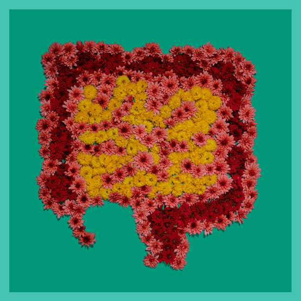 绿色背景上人体肠子的花卉安装，肠子健康的理念。人体器官医学图片的一部分图片下载