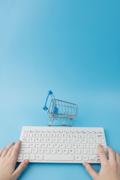 一个在蓝色背景下用笔记本电脑工作的女人。、远程维护概念、网上购物。图片下载