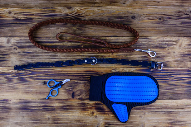 棕色皮革狗链，项圈，宠物光滑刷手套和剪刀爪子上的木制背景。俯视图图片下载