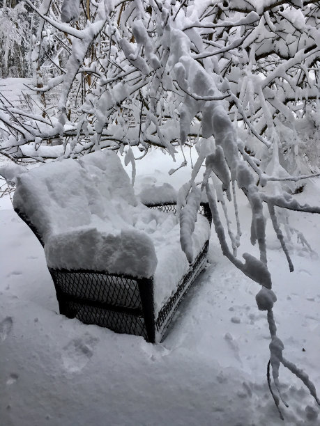 霍恩比岛的雪秋千图片下载
