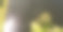 晴朗的一天，在‎⁨北迈阿密海滩⁩，⁨佛罗里达州⁩俯瞰皇家加尔迪斯运河。图片下载