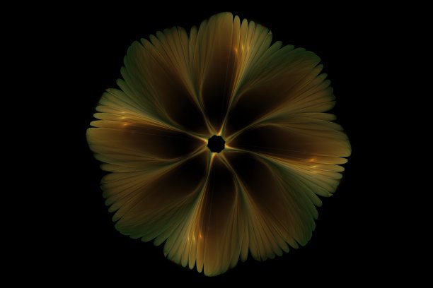 美丽抽象3d彩色花，发光的花瓣在黑色背景。三维渲染图片下载