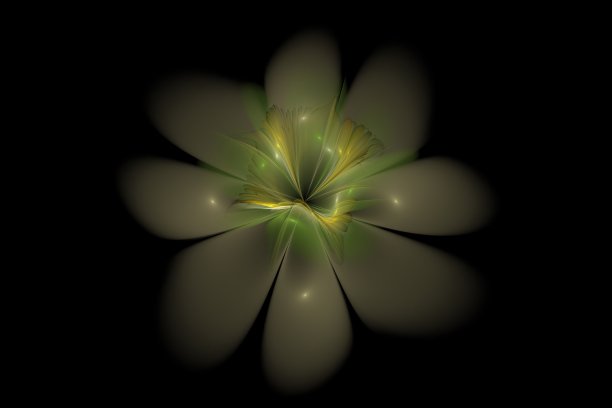 美丽抽象3d彩色花，发光的花瓣在黑色背景。三维渲染图片下载