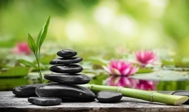 玄武岩的禅宗金字塔以粉红色和白色的阿尔巴睡莲为背景。水生植物倒映在森林湖中。图片下载