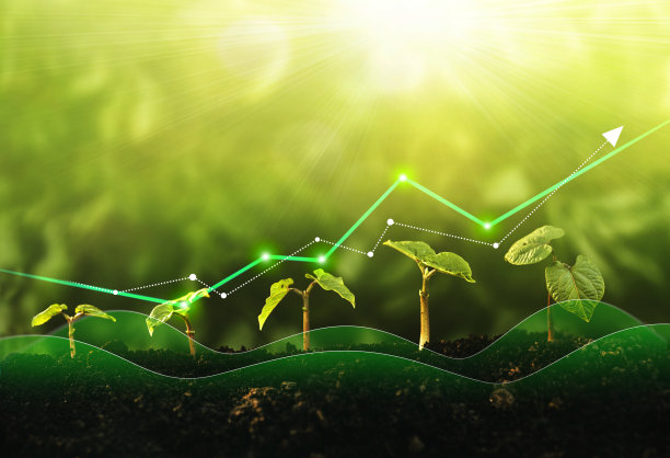 幼苗从肥沃的土壤中生长出来。对业务增长、利润、发展和成功的概念。图片下载