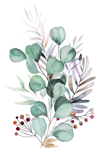 冬季花卉水彩画花束与粉彩树叶，浆果和鲜花图片下载