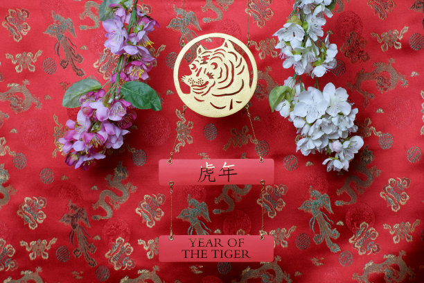 金虎标志和树枝的白色和粉红色樱花在红色织物上与中国装饰鸟和龙。2022年中国农历虎年。翻译过来就是:虎年图片下载