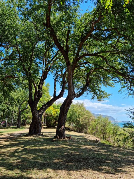 性质的聚会图片下载