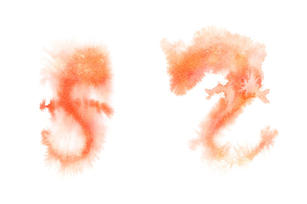 白色背景的亚洲龙画剪影，橙色水彩插图，抽象艺术图片下载