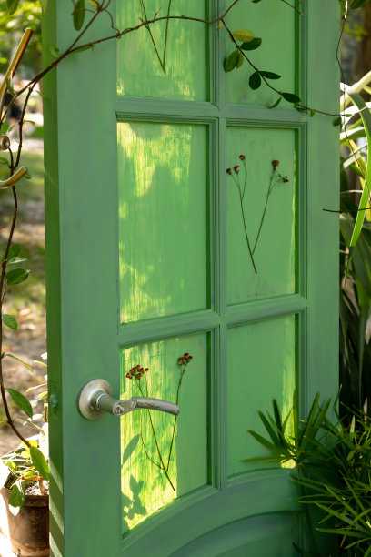 后院有一扇绿色的老门，通向不了任何地方。装饰元素。以新的品质使用过时的东西图片下载