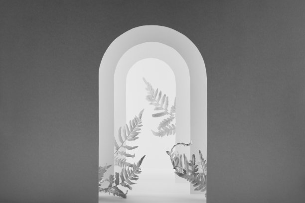 抽象的深灰色和白色的舞台模型与黑色对比拱形装饰蕨类叶呈现化妆品，设计，广告在现代简约的异国情调抽象花园。图片下载