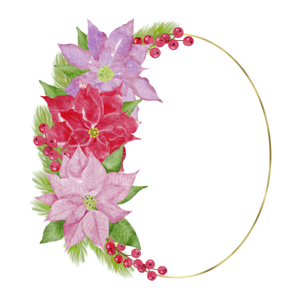 水彩圣诞框架与一品红，红色的冬季浆果，冷杉树枝，冬青树叶和一个金色的几何元素。用于升华设计，请柬，贺卡。图片下载