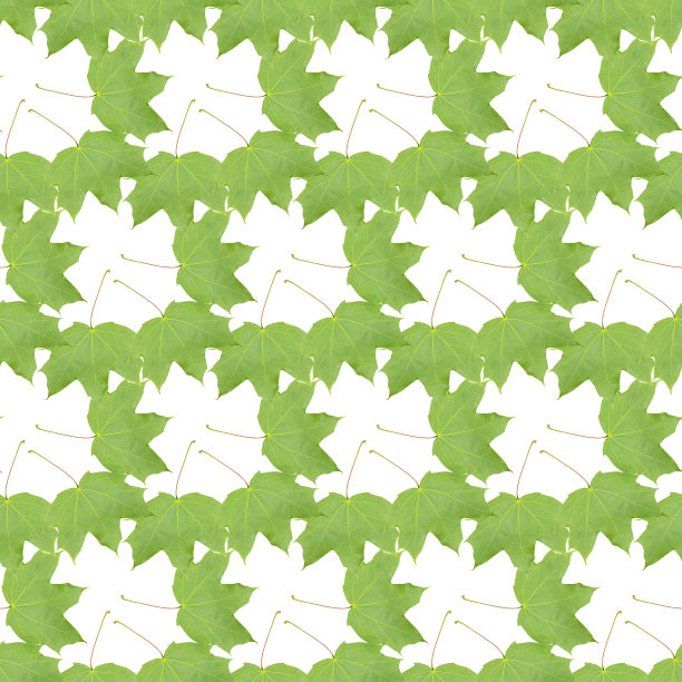绿色枫叶，无缝花纹装饰纺织枫叶图片下载